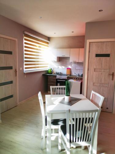 IMG 20200319 144747 edited (Copy)