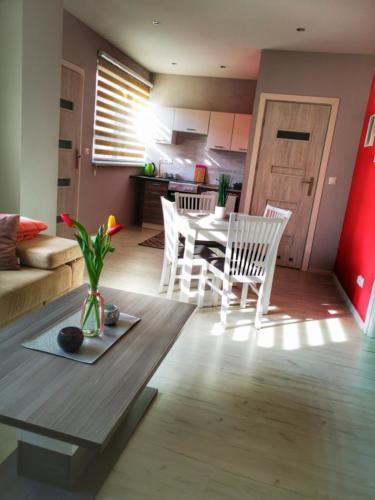 IMG 20200319 145313 edited (Copy)