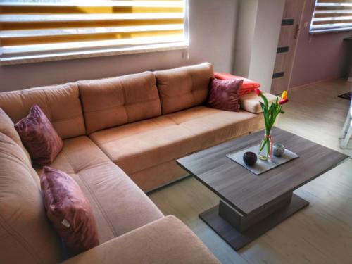 IMG 20200319 145324 edited (Copy)